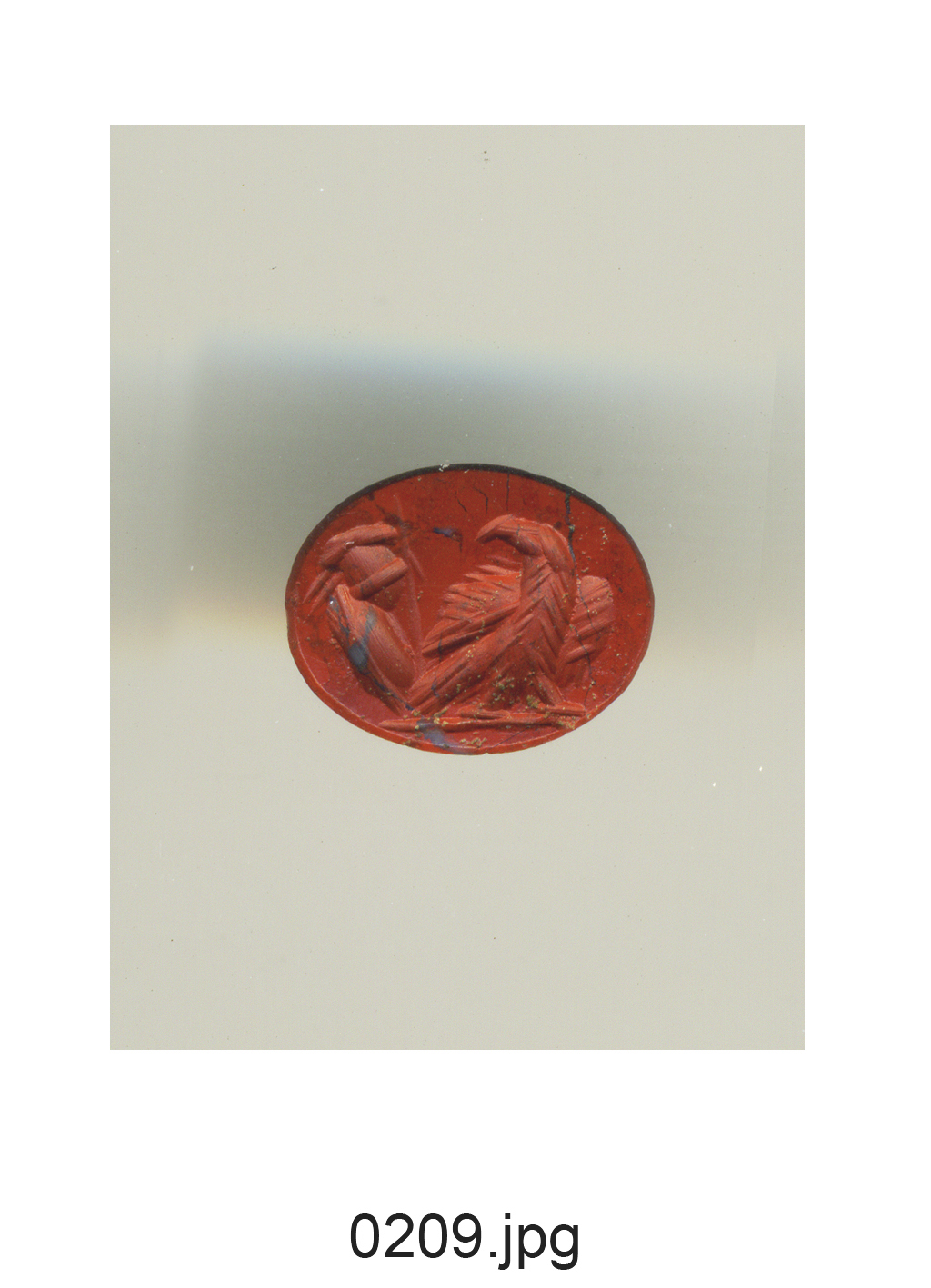 aquila ad ali speigate retrospiciente e panoplia (scudo, elmo e asta) (gemma) - produzione romana (secc. II/ III)