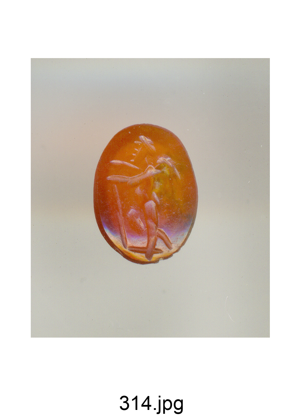 Amorino (gemma) - produzione italiana (secc. XVI/ XVII)