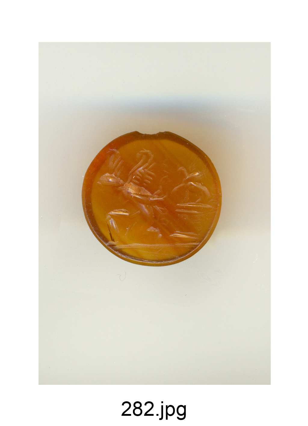 Amorino prigioniero e grifone su base circolare (gemma) - produzione romana (sec. II)