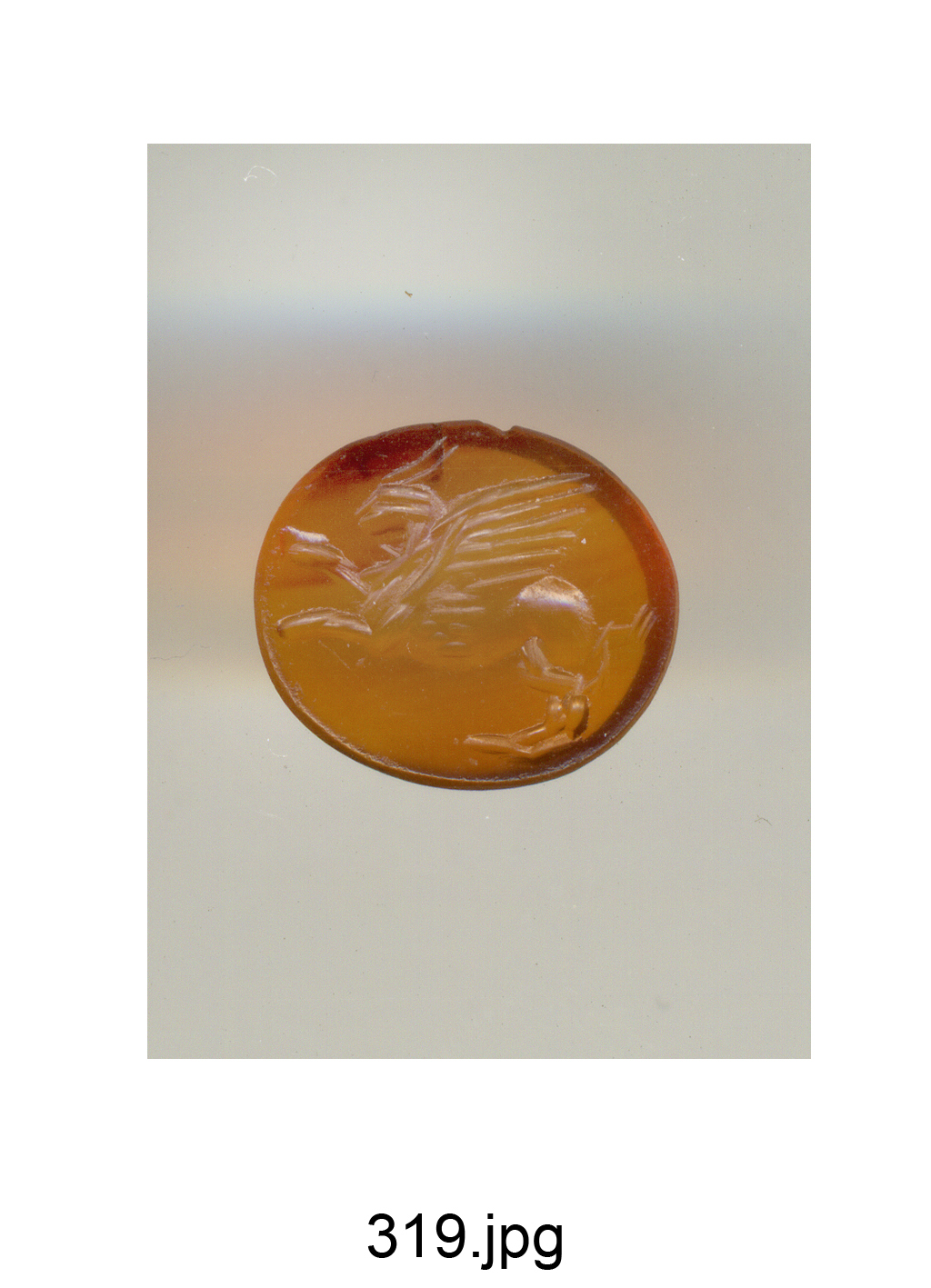 Grifo (gemma) - produzione romana (secc. I/ II)