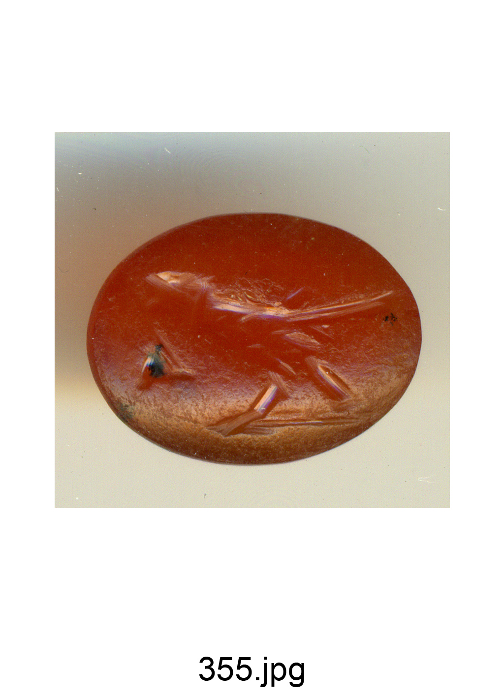 pappagallo con ciliege (gemma) - produzione romana (secc. II/ III)