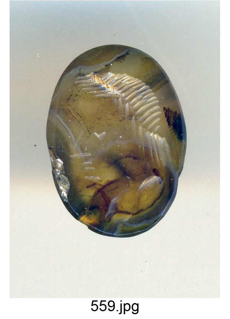 testa d'uomo di profilo (gemma) - produzione italiana (secc. XVI/ XVII)