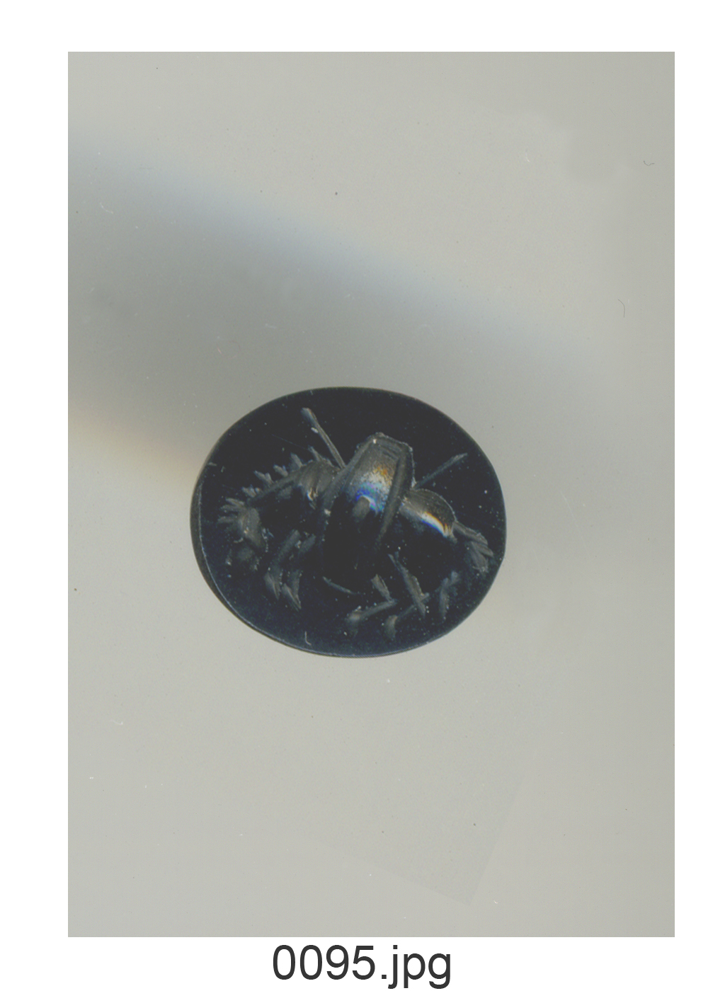 cavallo accasciato con le zampe raccolte, sopra scudo oblungo, sotto lance incrociate (gemma) - produzione romana (secc. I a.C./ I)