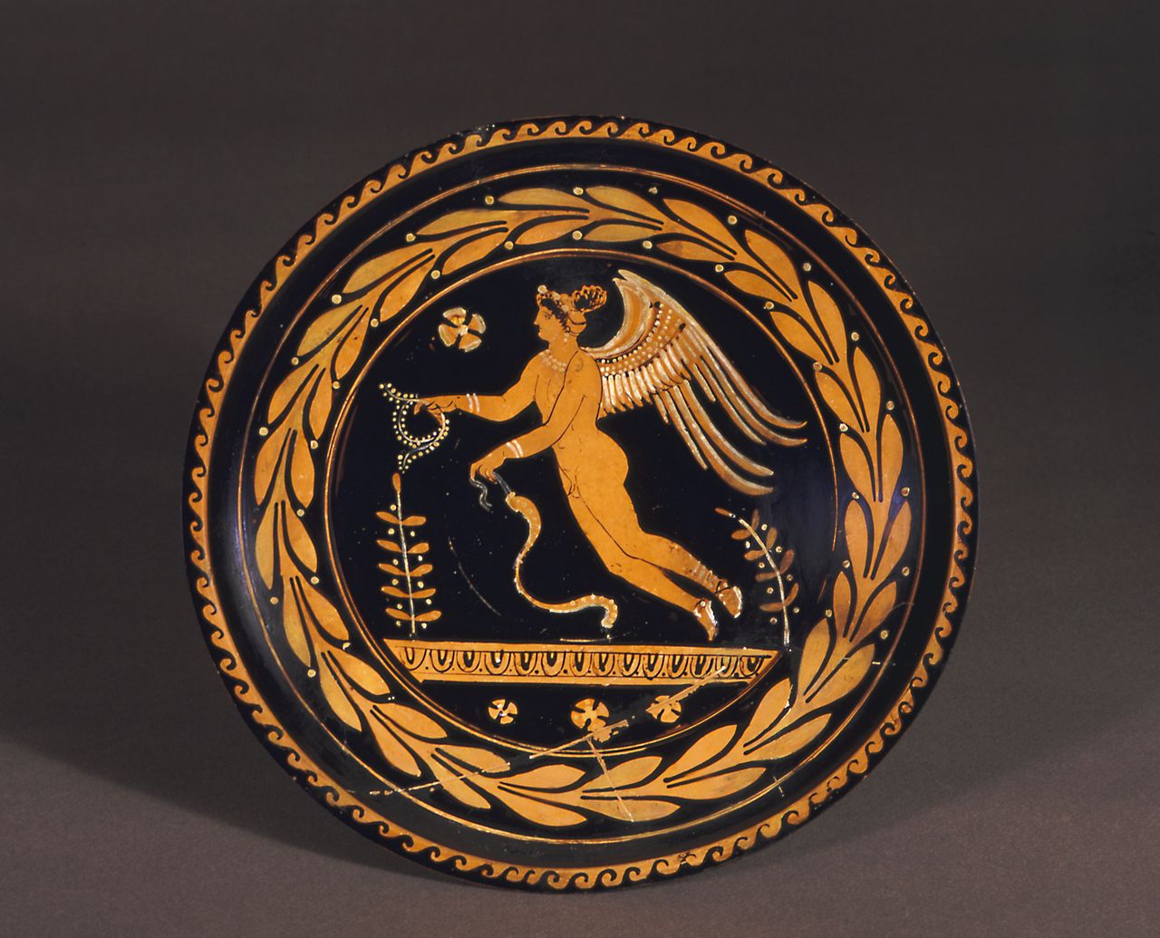 piatto - produzione apula a figure rosse 