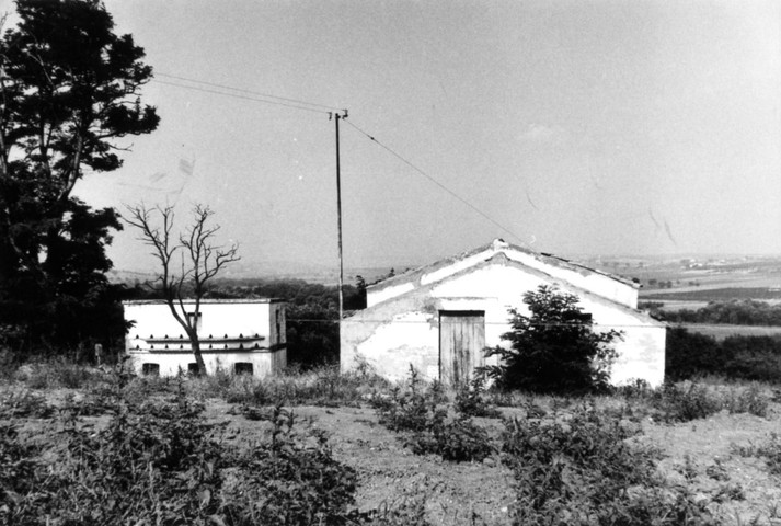 Masserie D'Aloe (masseria, padronale) - San Giacomo degli Schiavoni (CB) 