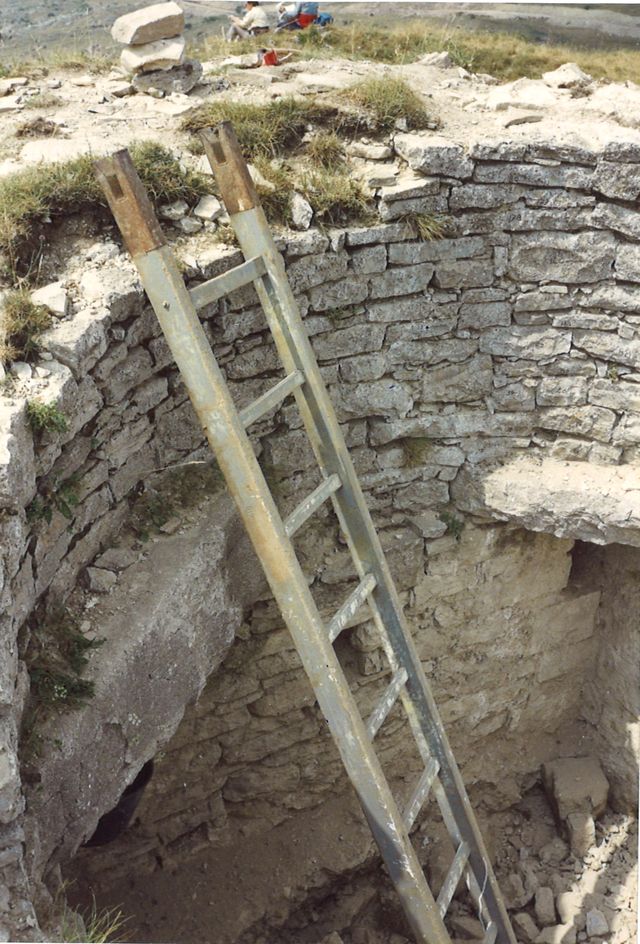 Torre di Monte San Nicola (torre, struttura difensiva) - Capracotta (IS) 