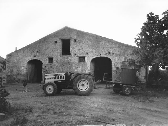 Azienda agricola Centorame (azienda agricola, monofamiliare) - Campomarino (CB) 