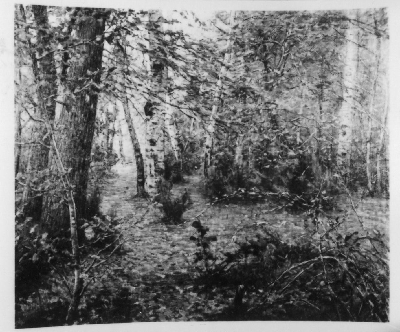 Nel bosco, paesaggio (dipinto) di Gioli Luigi (sec. XX)