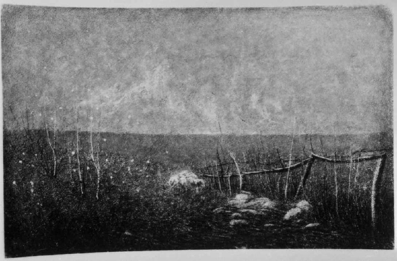 Gruppo di pecore presso una siepe (Terzetto tenue), paesaggio (dipinto) di Grubicy De Dragon Vittore (secc. XIX/ XX)
