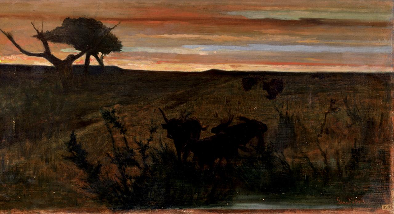 Buoi al pascolo, paesaggio con animali (dipinto) di Fattori Giovanni (sec. XIX)