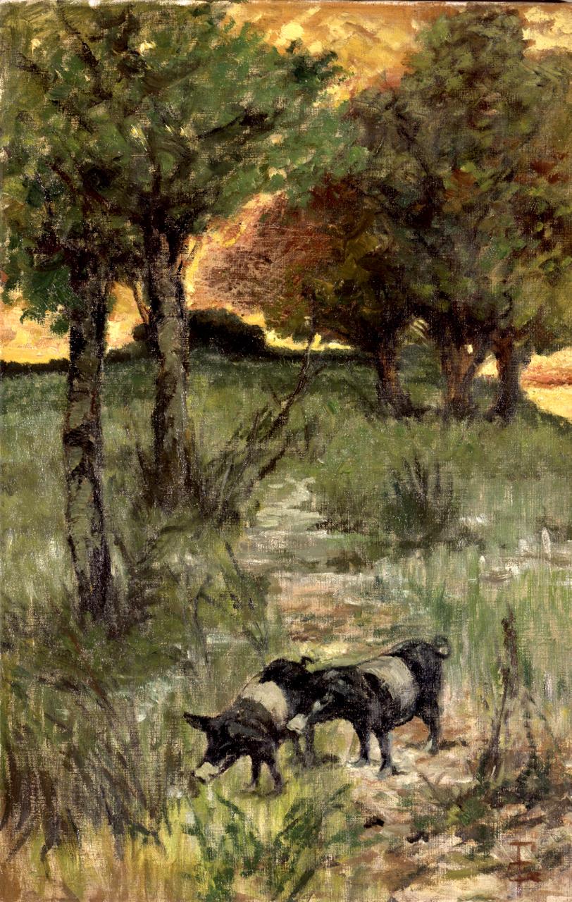 Maiali al pascolo / Sulla sera, paesaggio con animali (dipinto) di Fattori Giovanni (sec. XIX)