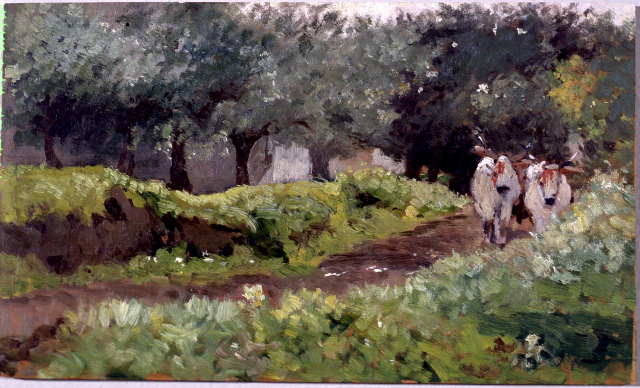 Campagna con buoi, paesaggio con animali (dipinto) di Fattori Giovanni (sec. XIX)