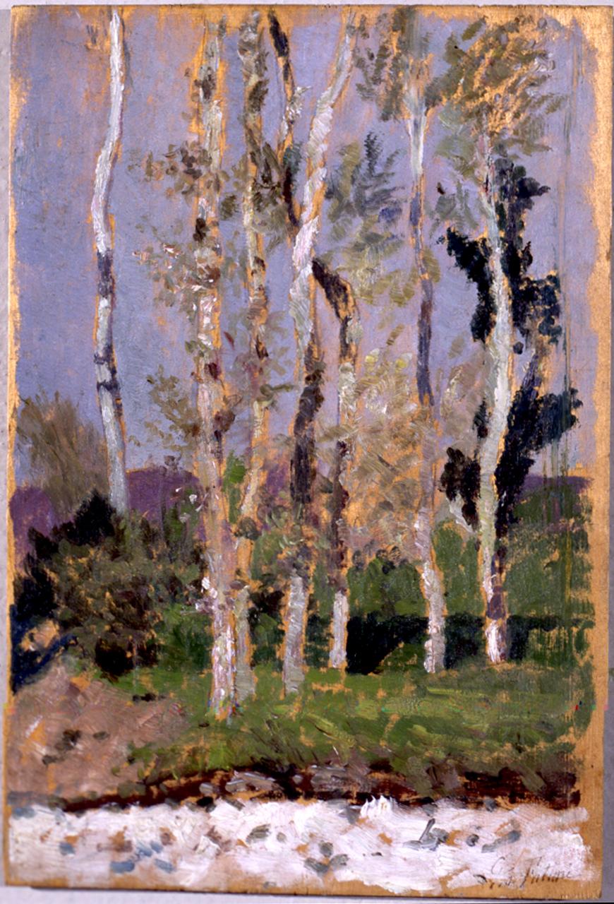 Pioppi, alberi (dipinto) di Fattori Giovanni (secc. XIX/ XX)