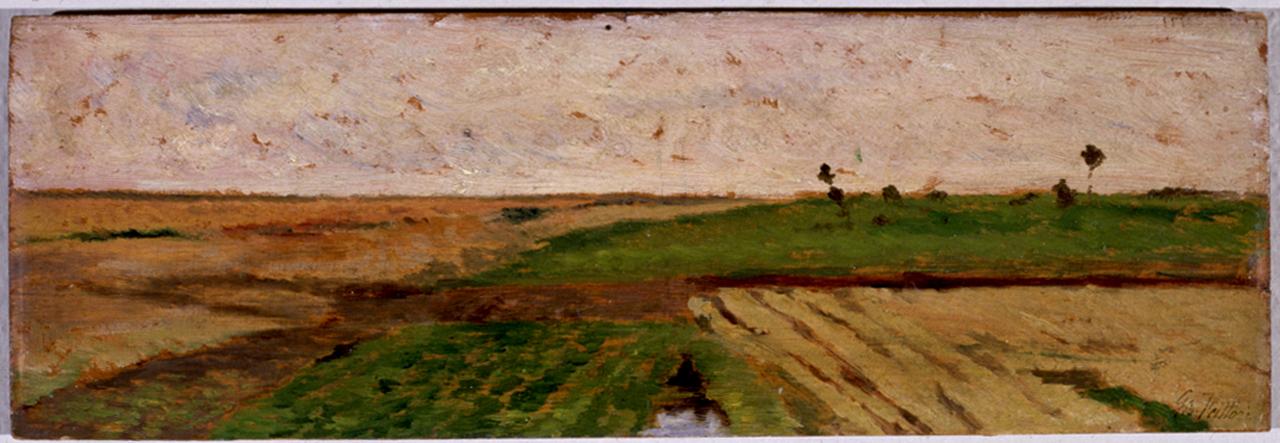 Piccola Maremma, paesaggio campestre (dipinto) di Fattori Giovanni (sec. XIX)