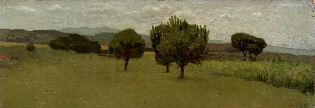 Castiglioncello, paesaggio con alberi (dipinto) di Abbati Giuseppe (sec. XIX)