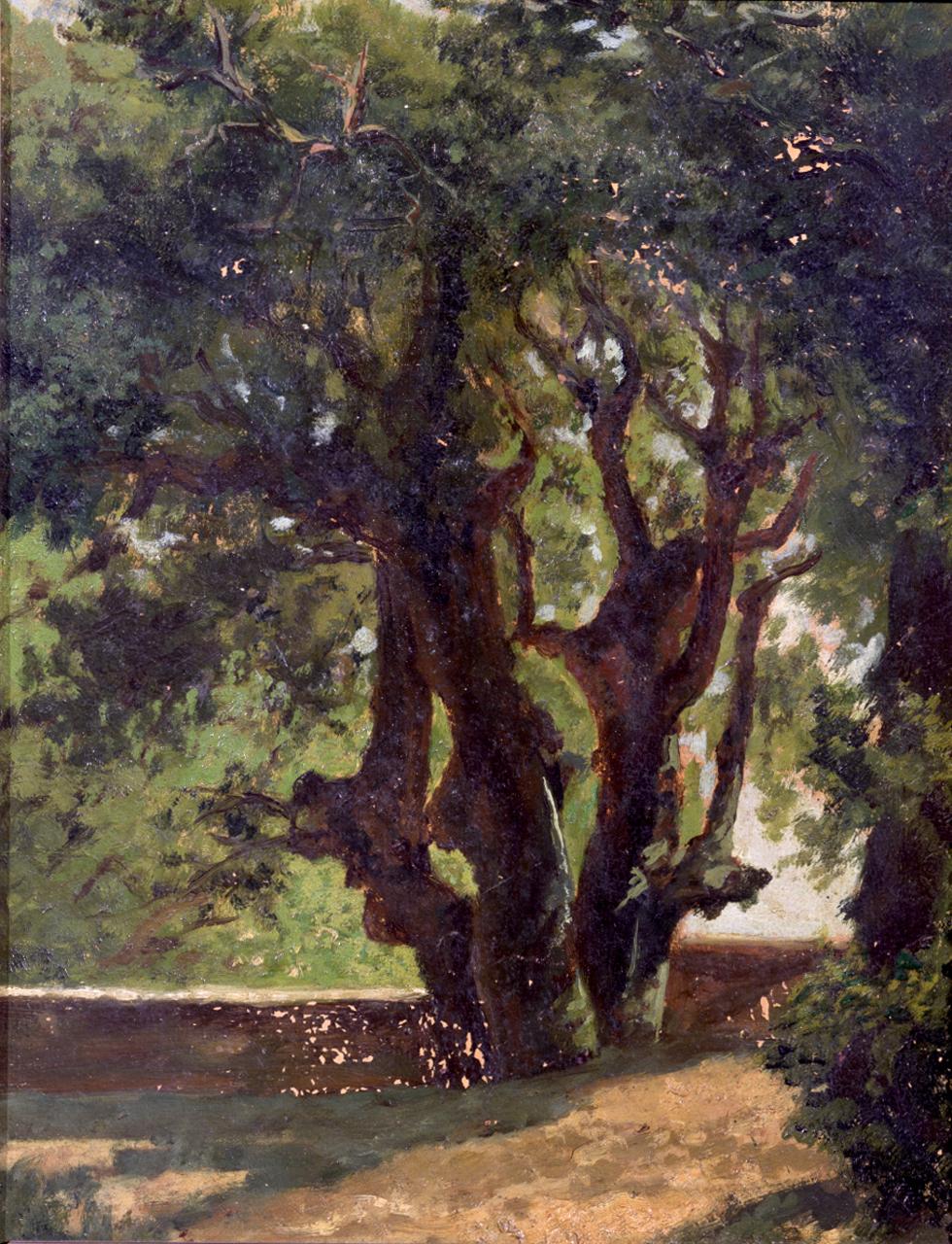 paesaggio con alberi (dipinto) di De Tivoli Serafino (sec. XIX)