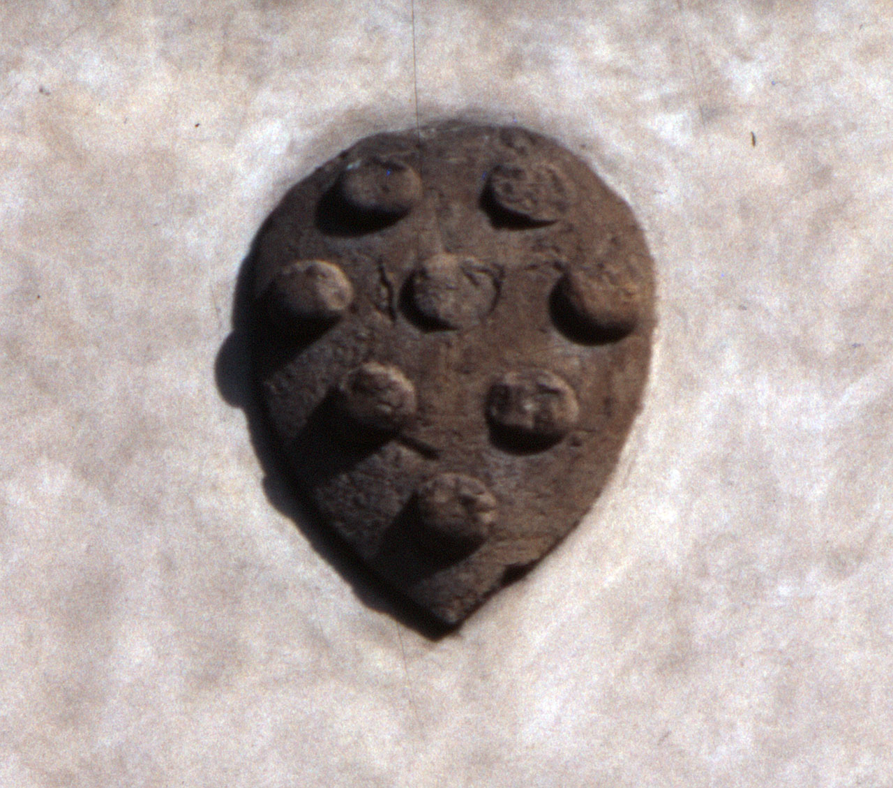 stemma gentilizio della famiglia Medici (rilievo) - bottega fiorentina (secondo quarto sec. XV)