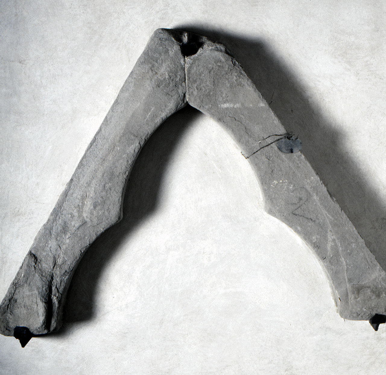 arco, frammento - bottega fiorentina (seconda meta' sec. XIV)