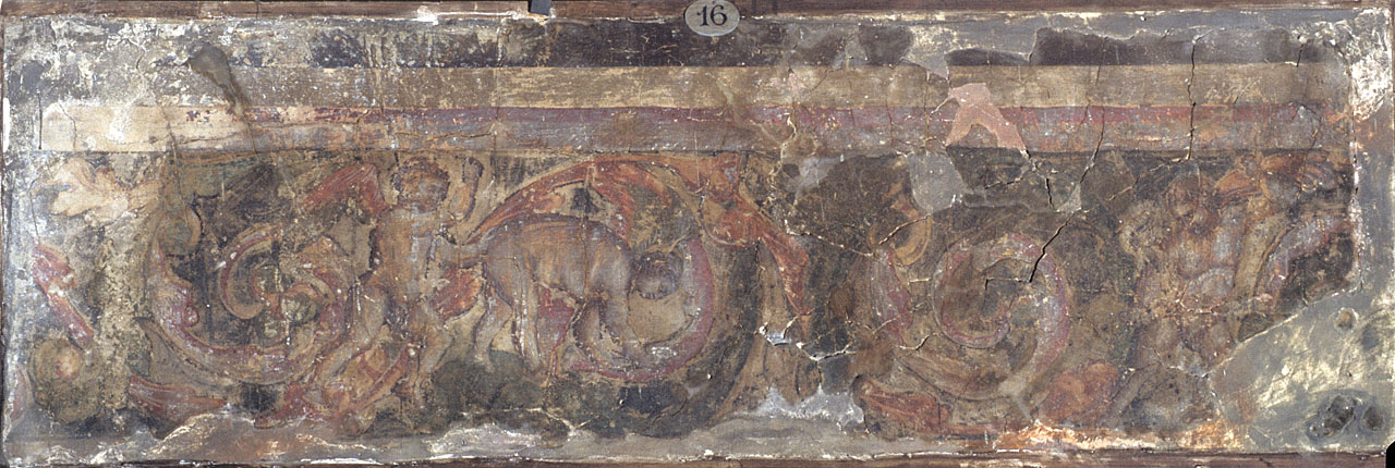 motivo decorativo (dipinto, frammento) - ambito fiorentino (meta' sec. XVI)