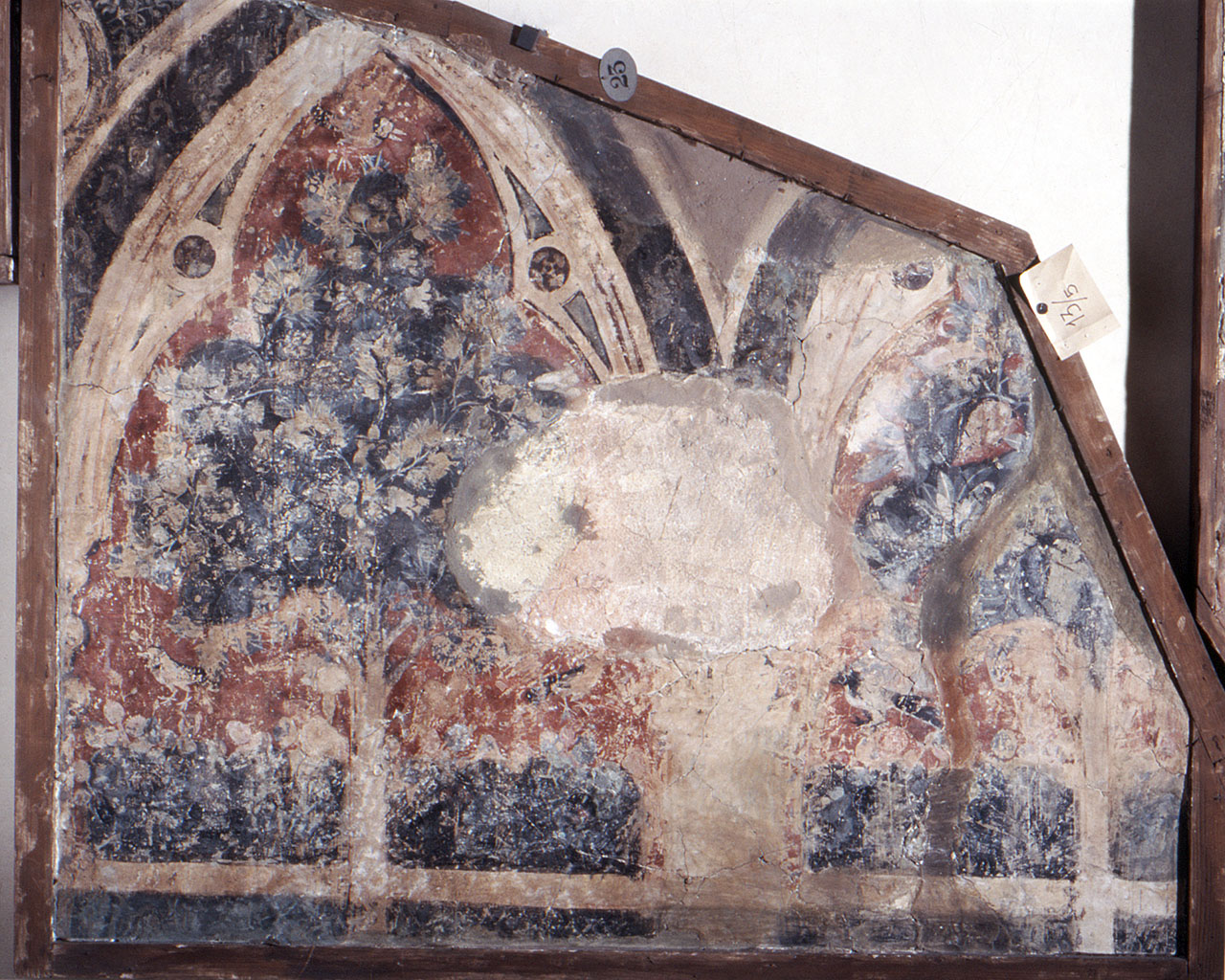 motivo decorativo (dipinto, frammento) - ambito fiorentino (seconda metà sec. XIV)