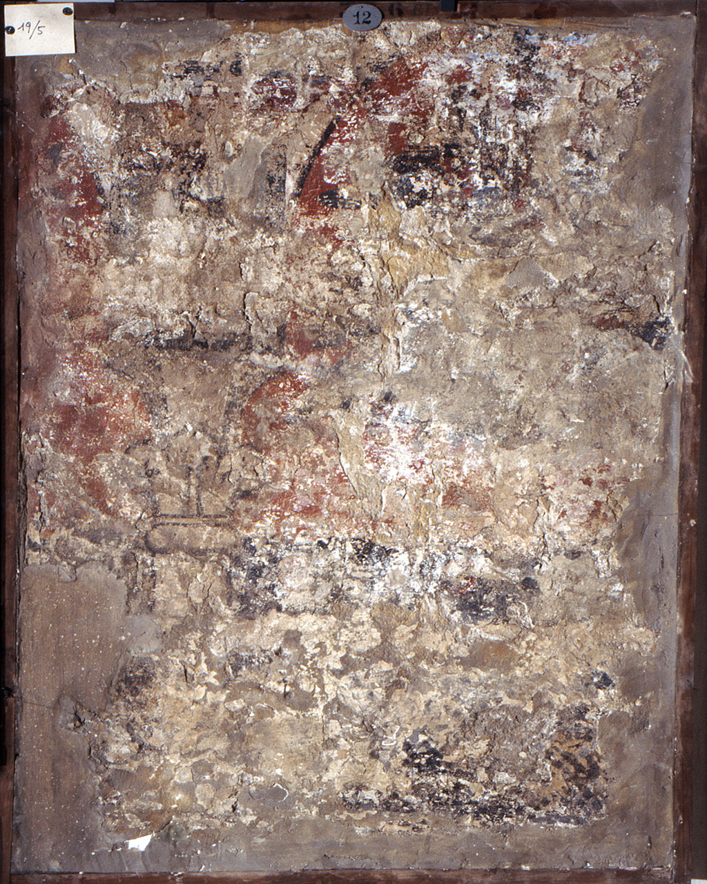 motivo decorativo (dipinto, frammento) - ambito fiorentino (sec. XIV)