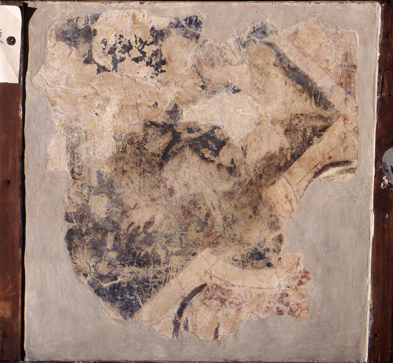 animali fantastici (dipinto, frammento) - ambito fiorentino (fine/ inizio secc. XIV/ XV)