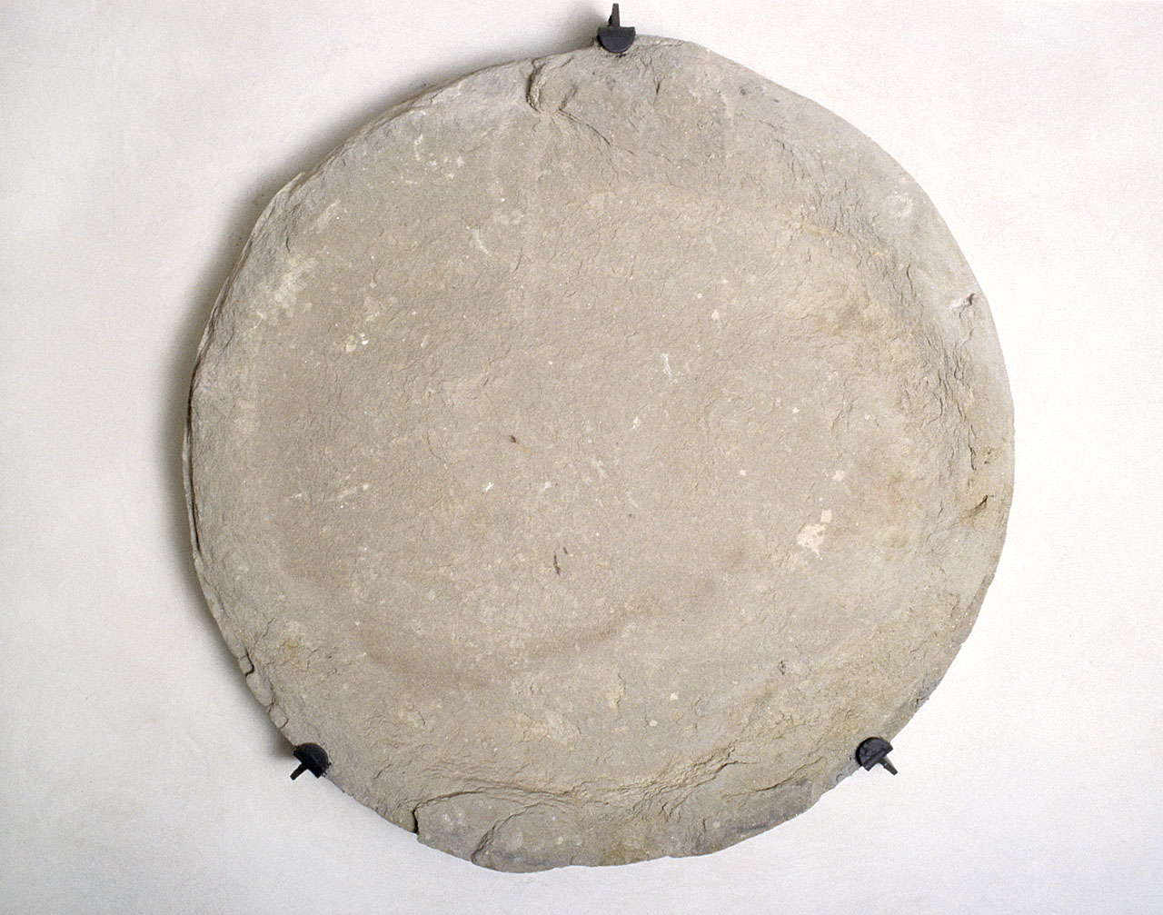 medaglione - bottega fiorentina (terzo quarto sec. XVI)