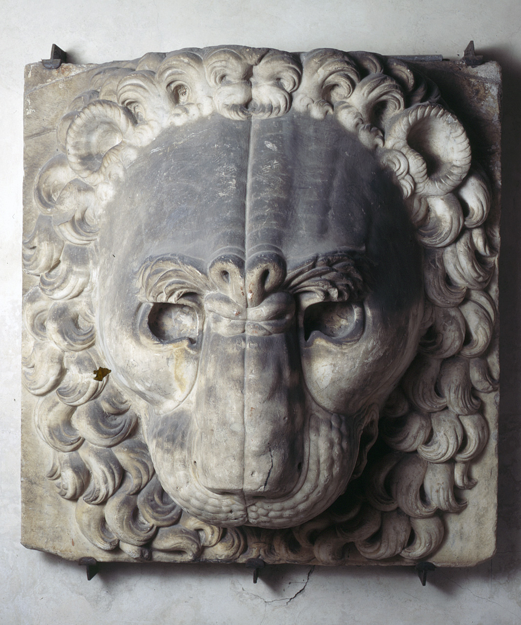 testa di leone (scultura) di Baccio d'Agnolo (primo quarto sec. XVI)