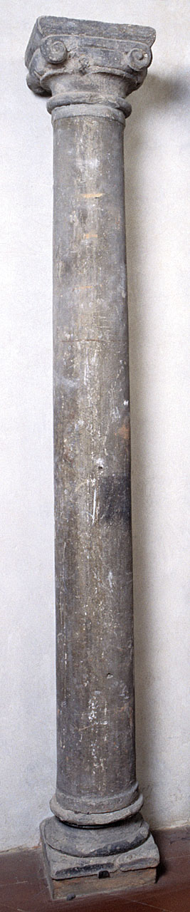 colonna ionica - bottega fiorentina (fine sec. XV)
