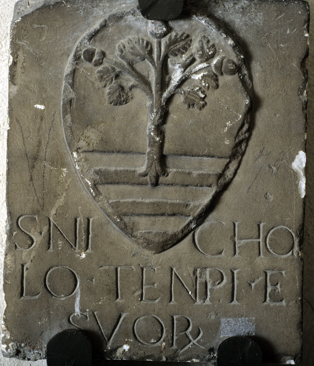 stemma gentilizio della famiglia Tempi (lapide tombale) - bottega fiorentina (sec. XV)