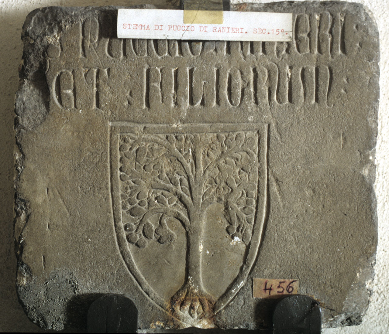 stemma gentilizio (lapide tombale) - bottega fiorentina (sec. XIV)