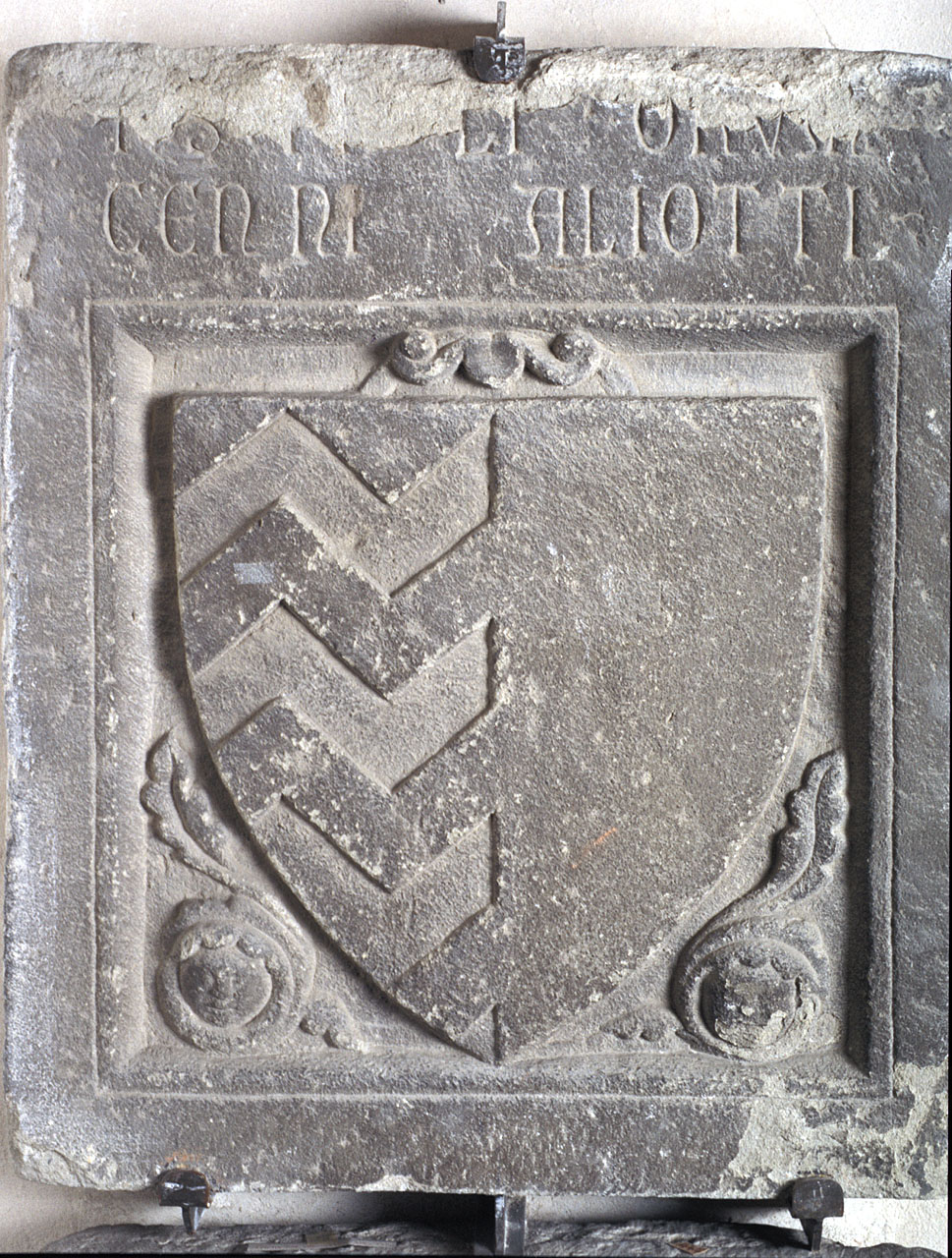 stemma gentilizio della famiglia Aliotti (lapide tombale) - bottega fiorentina (sec. XIV)