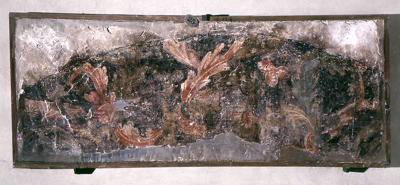 motivo decorativo (dipinto, frammento) - ambito fiorentino (prima metà sec. XV)