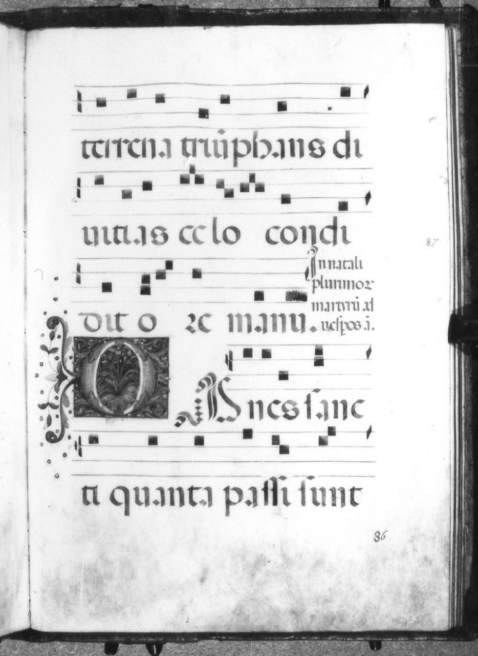 miniatura di Boccardi Giovanni detto Boccardino il Vecchio (bottega) (sec. XVI)