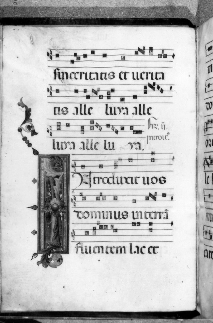 miniatura di Maestro delle Effigi Domenicane (attribuito) (prima metà sec. XIV)