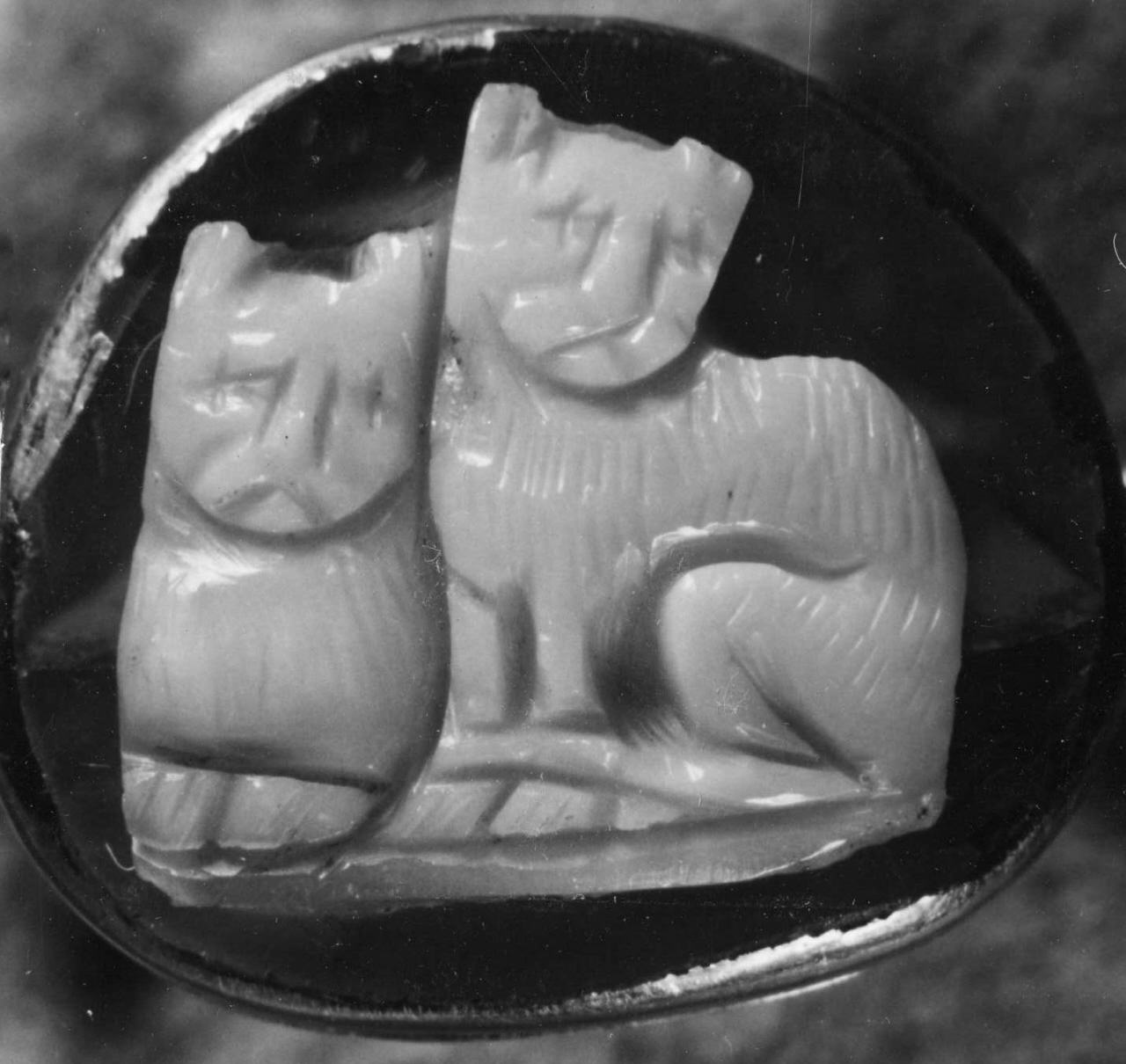 due gatti (cammeo) - bottega italiana (secc. XVI/ XVII)