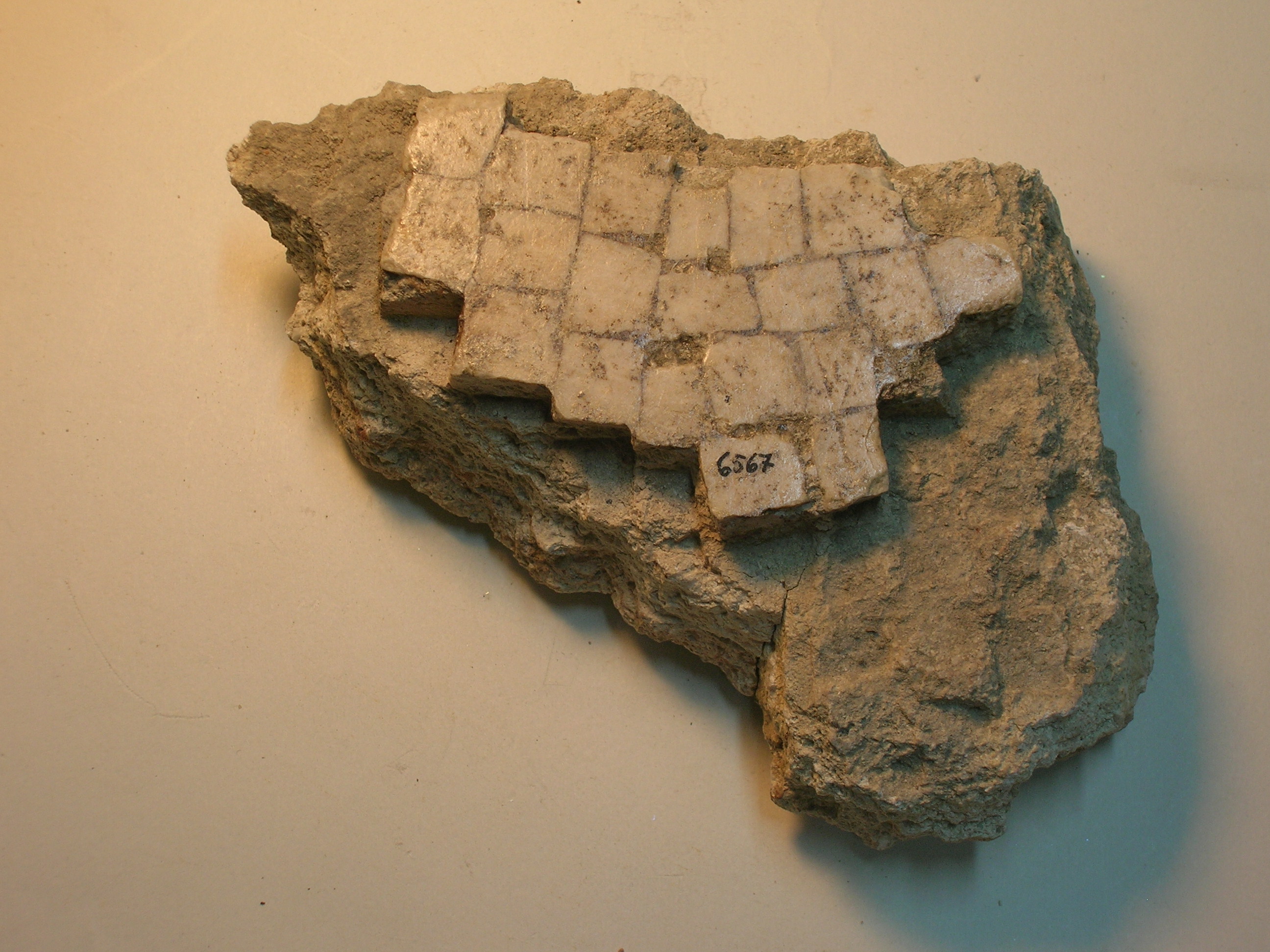 mosaico, monocromo bianco (Eta' romana repubblicana)