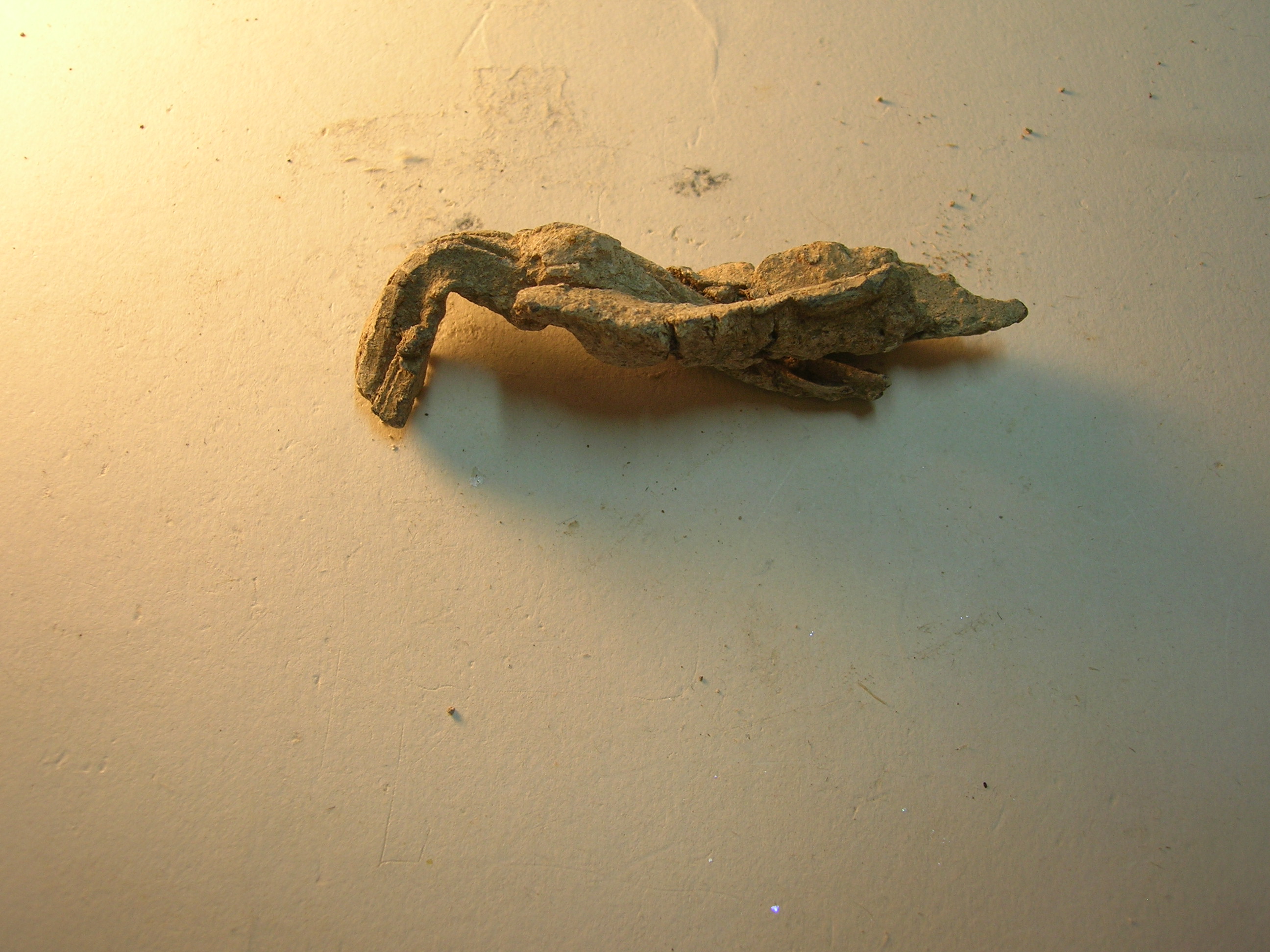 grappa (Eta' romana)