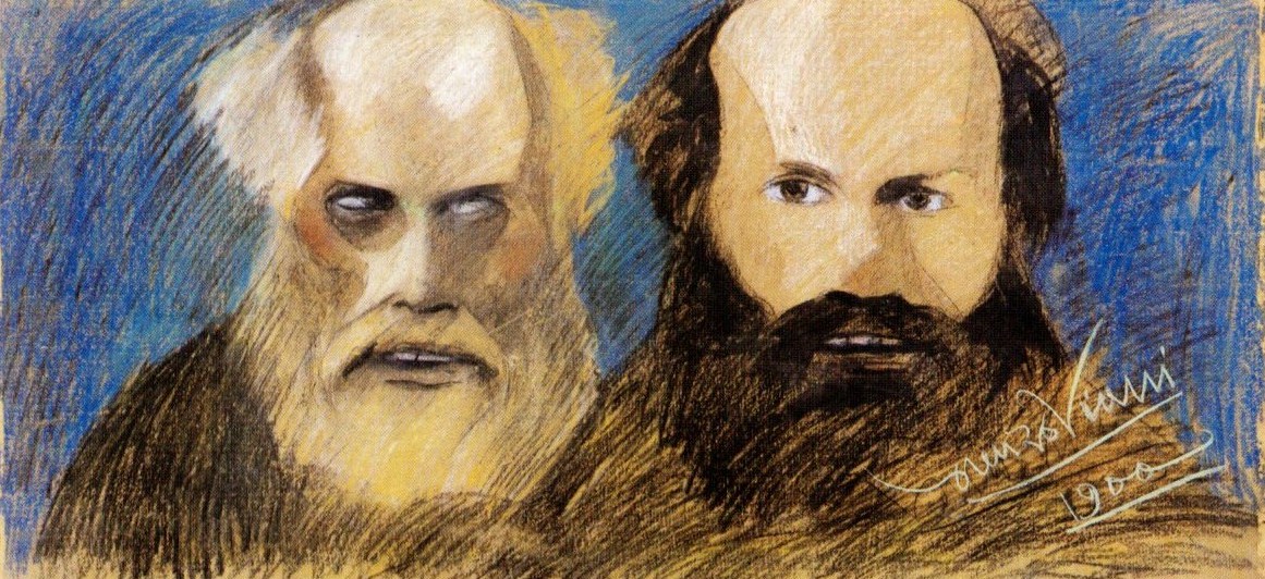 Vageri, volti maschili con barba (disegno) di Viani Lorenzo (sec. XX)
