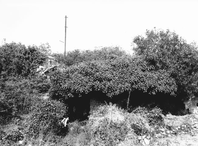 Torre Grande (torre, difensiva) - Pozzilli (IS) 