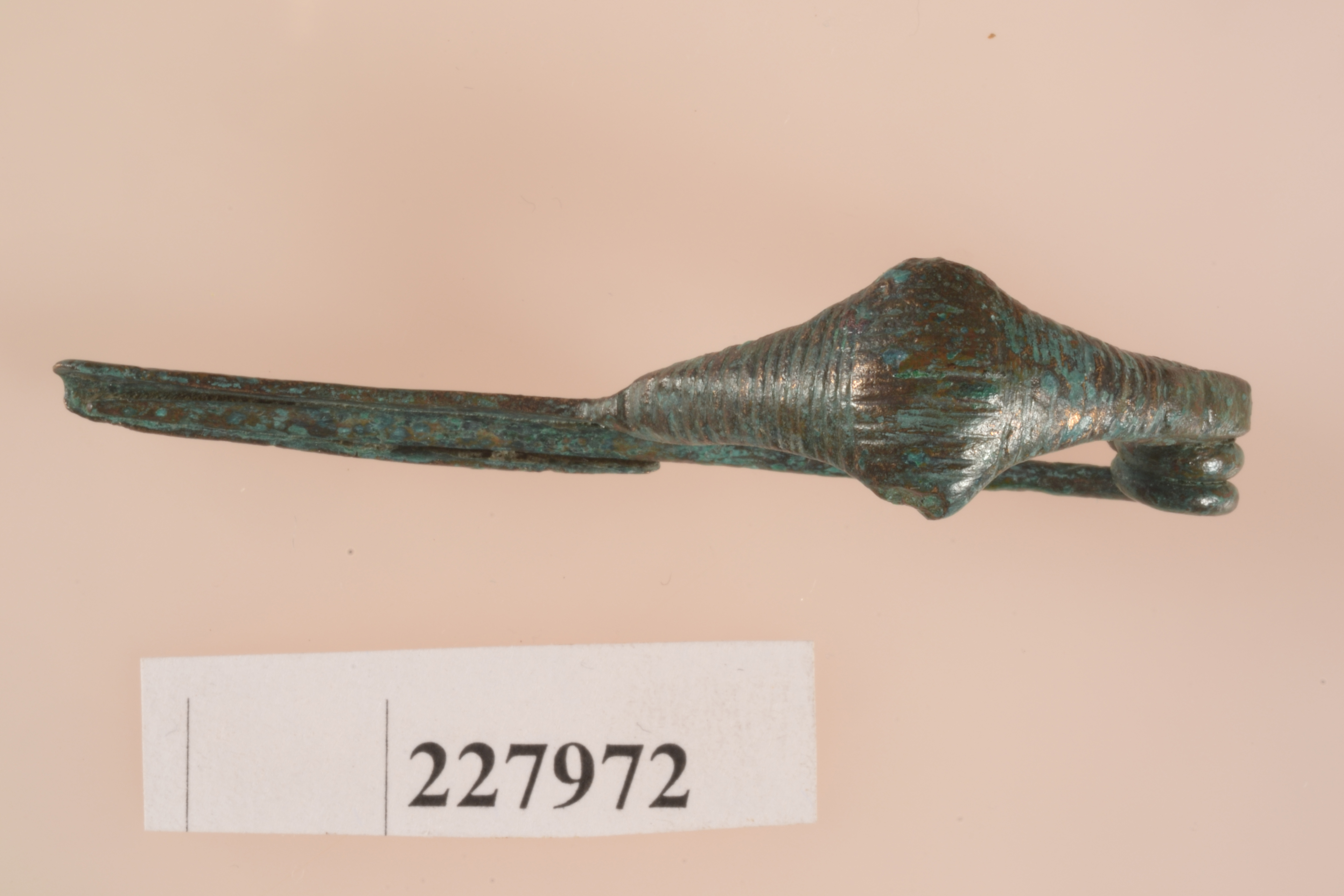 fibula, Tipo 32 F2 Pontecagnano II.1 (terzo quarto VIII a.C)
