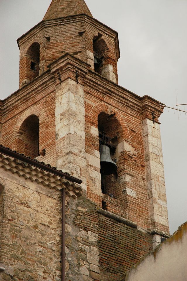 Chiesa di Santo Stefano Protomartire (chiesa, congregazionale) - Larino (CB) 