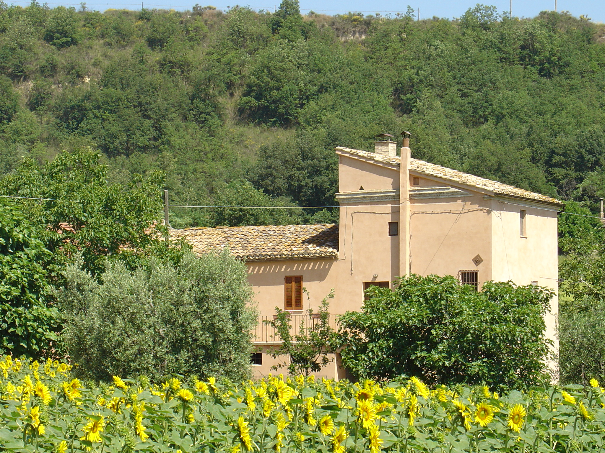 Casa con palombara (casa colonica, con palombara) - Moresco (AP) 