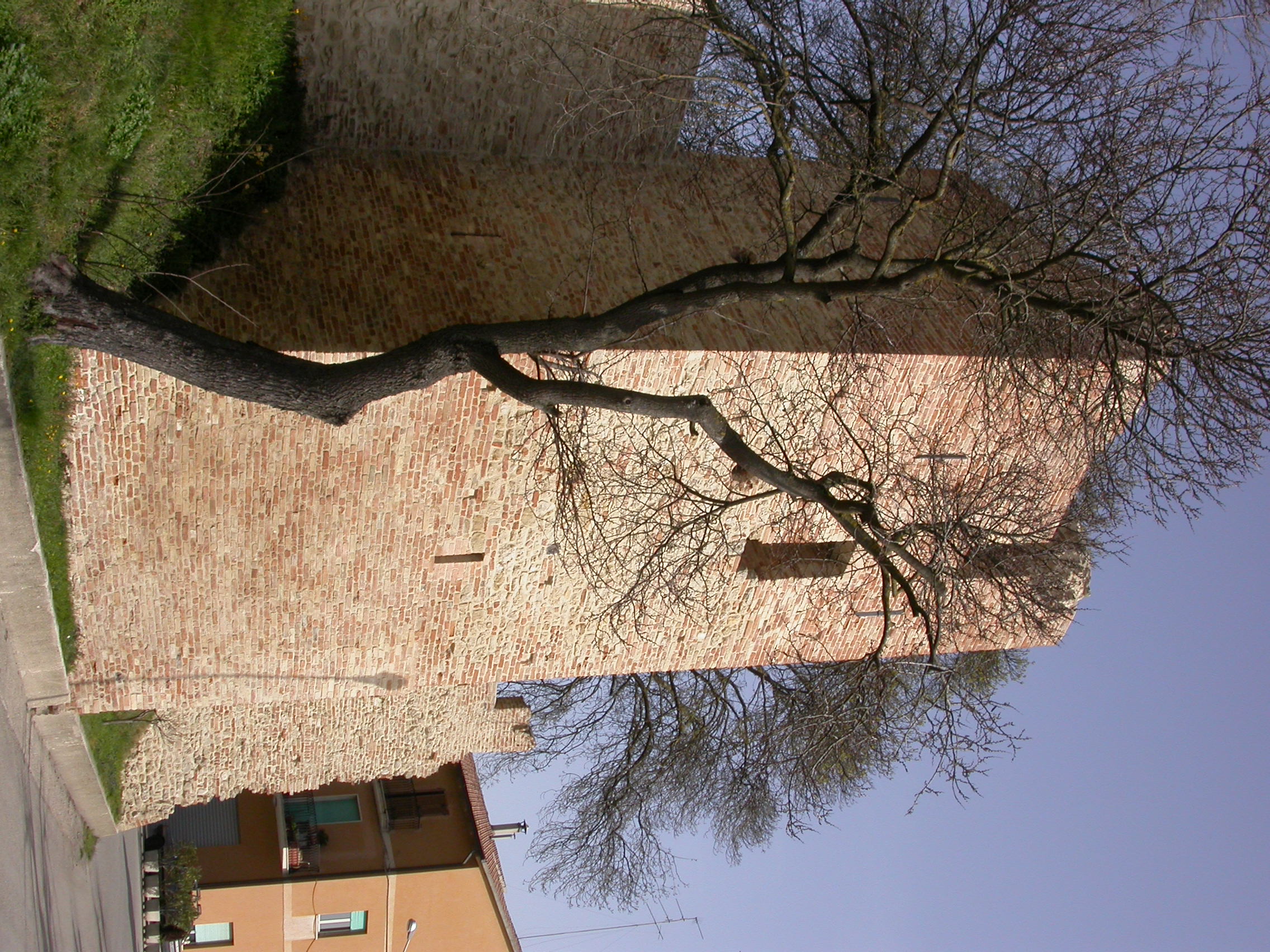 Torre rompitratta (torre, delle mura urbiche) - Ripatransone (AP) 