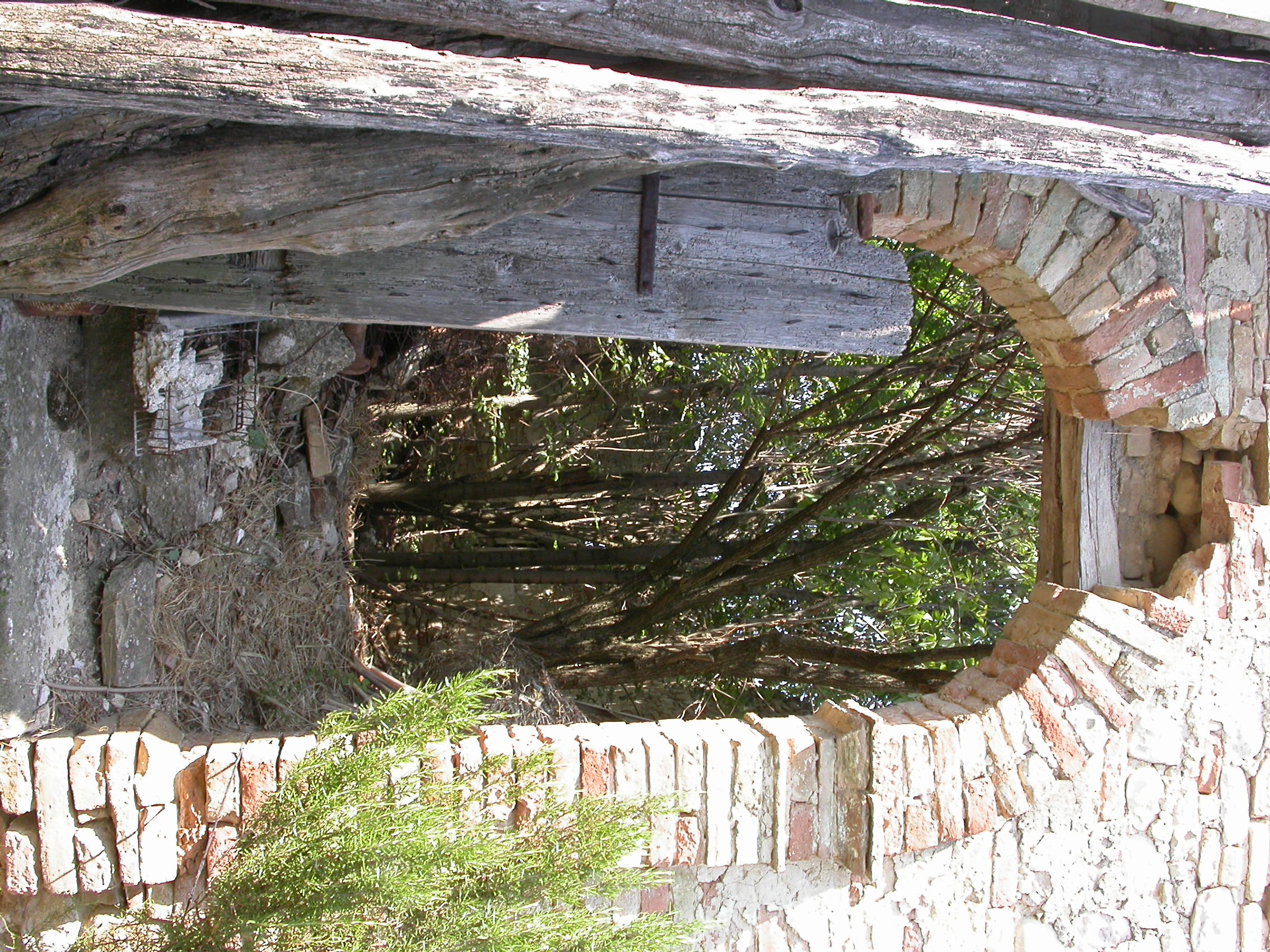 Chiesa di S. Prassede (chiesa, rurale) - Ripatransone (AP) 