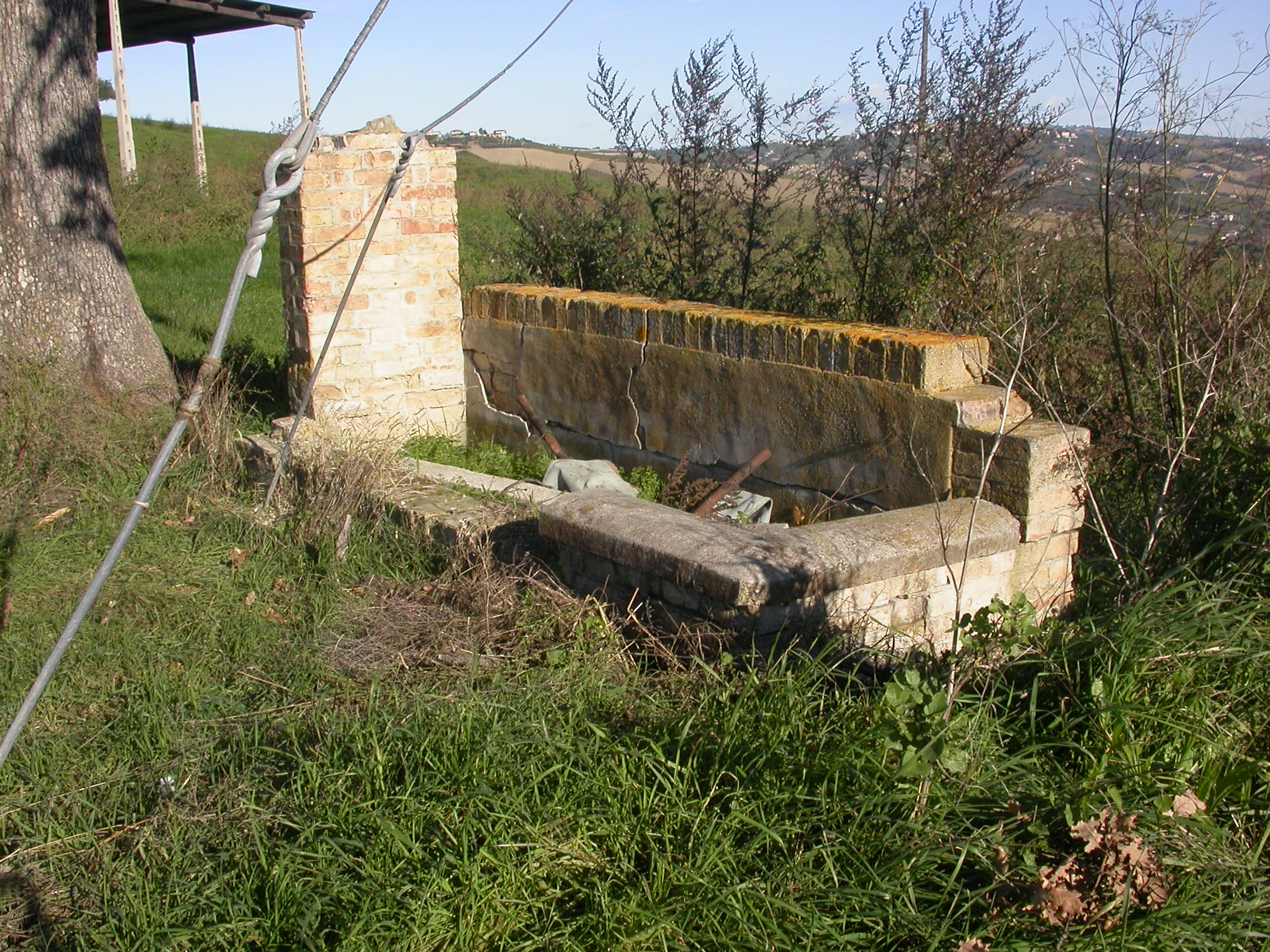 Fonte delle Quercie (fonte, pubblica) - Cossignano (AP) 