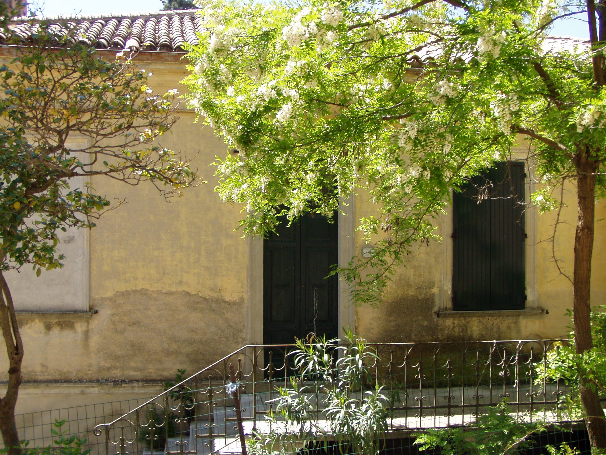 Casa canonica (casa canonica) - Serrungarina (PU) 