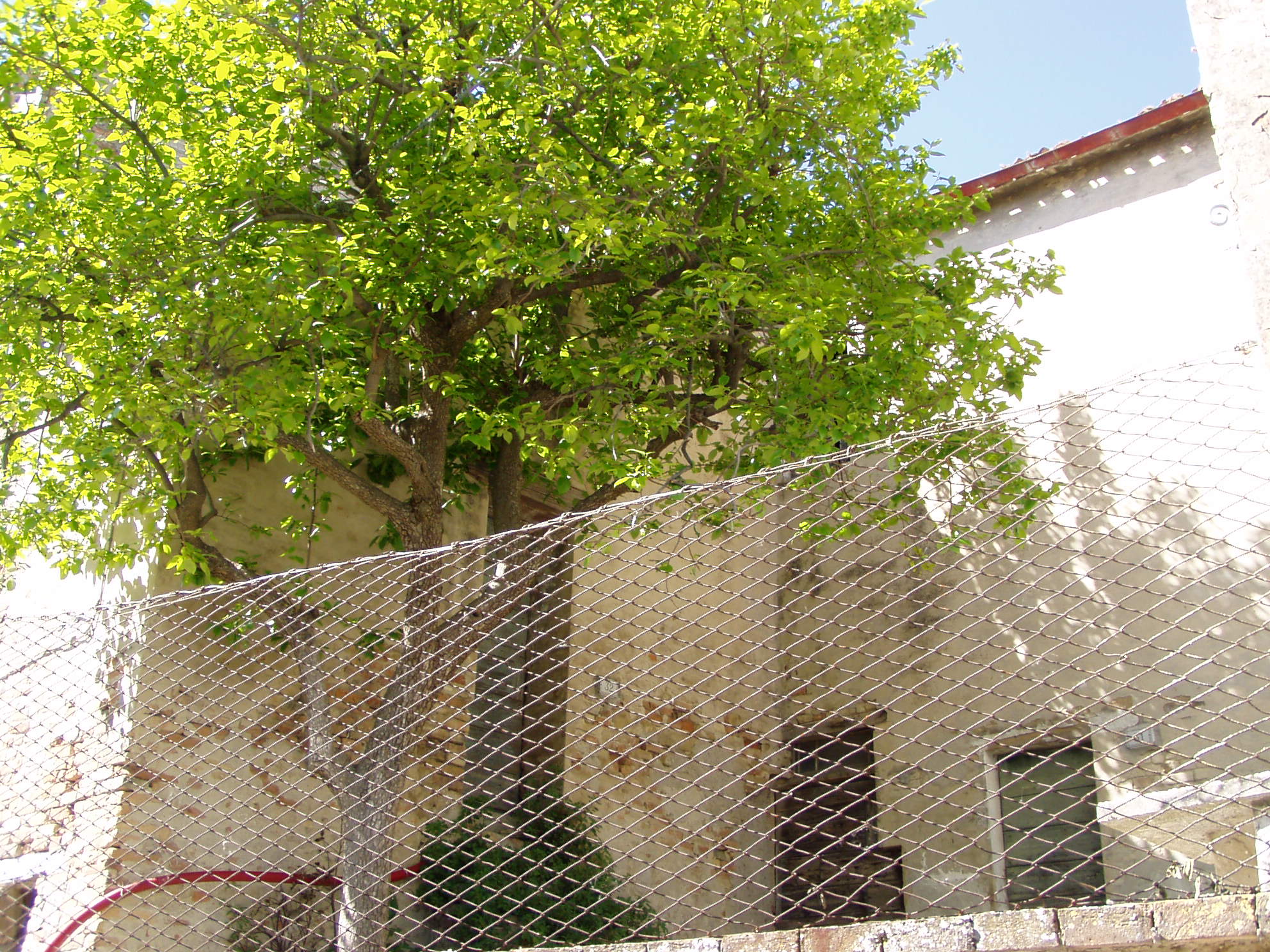 Casa a schiera (casa a schiera) - Serrungarina (PU) 