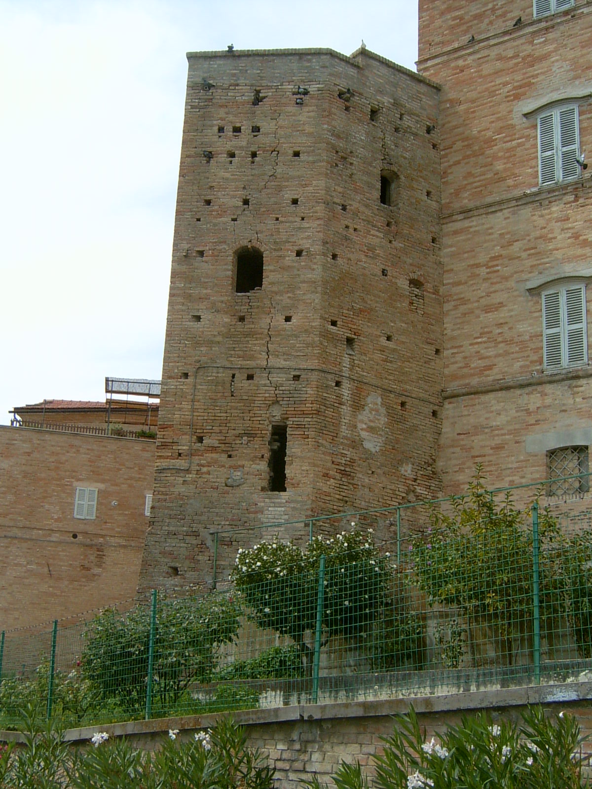 Puntone delle Mura urbiche di Monte Vidon Corrado (puntone, delle mura urbiche) - Monte Vidon Corrado (AP) 