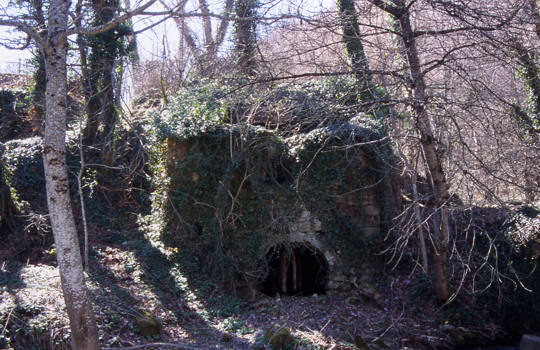 Mulino Guerrieri (mulino, ad acqua) - Montegallo (AP) 